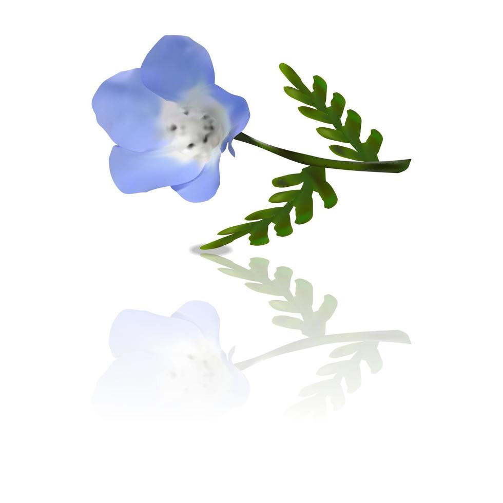 baby blauw oog bloem vector