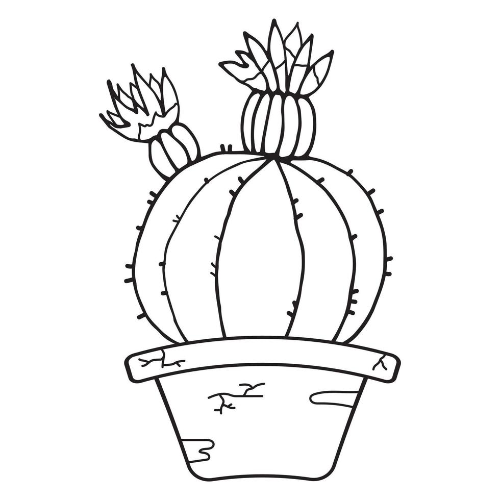 vectorillustratiesjabloon voor een ansichtkaart, visitekaartje of reclamebanner. voorraad illustratie. de foto van de cactus. stroomkring. ronde cactus in een pot. vectorillustratie. vector