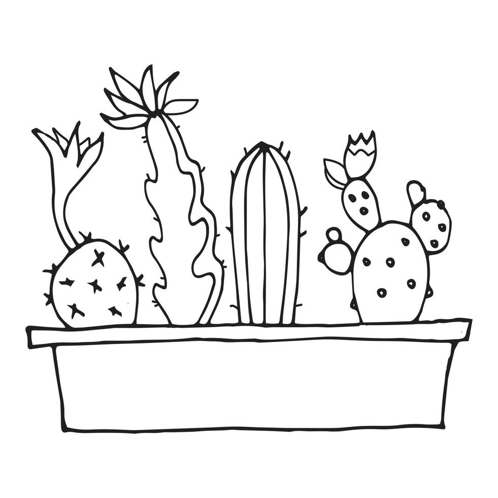 vectorillustratiesjabloon voor een ansichtkaart, visitekaartje of reclamebanner. voorraad illustratie. verzameling cactussen in een bloempot. stroomkring. vectorillustratie. vector