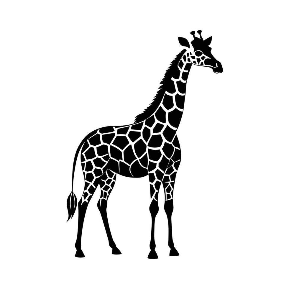 een giraffe met een zwart en wit tekening Aan wit achtergrond vector