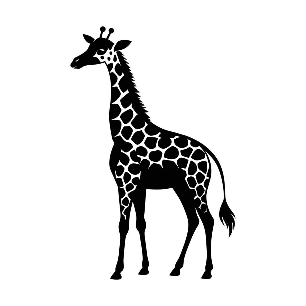 een giraffe met een zwart en wit tekening Aan wit achtergrond vector