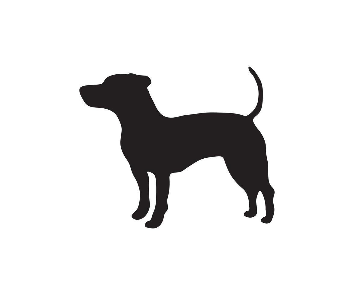 silhouet van een staande jack russell terrier vector