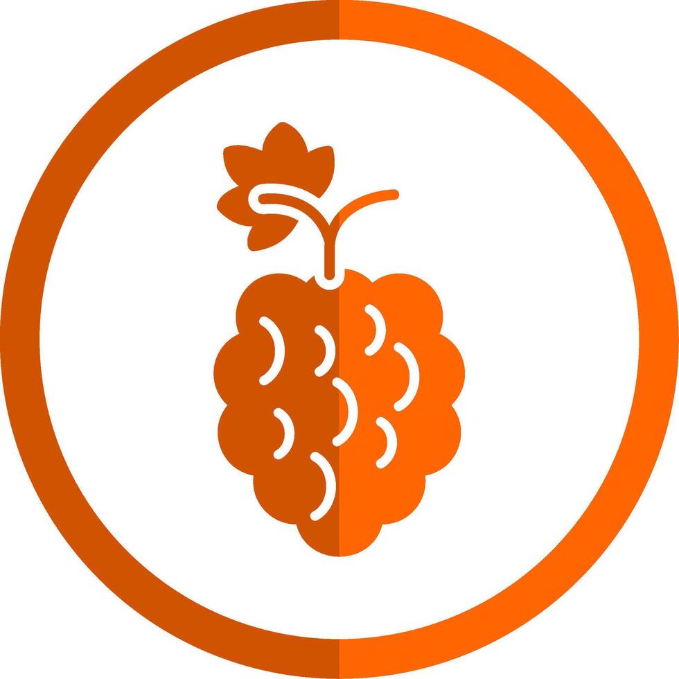 frambozen glyph oranje cirkel icoon vector