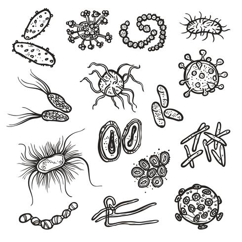 Bacteriën en viruscellen vector