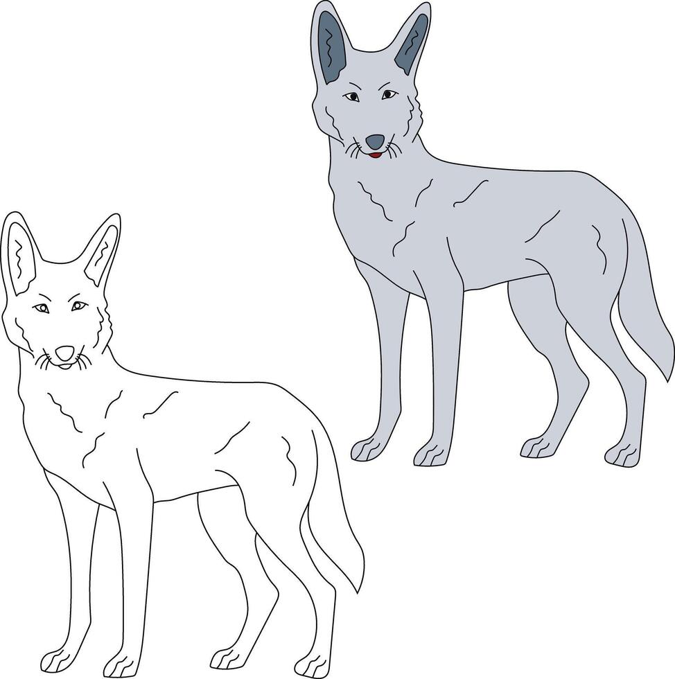 wolf clip art set. tekenfilm wild dieren clip art reeks voor geliefden van dieren in het wild vector