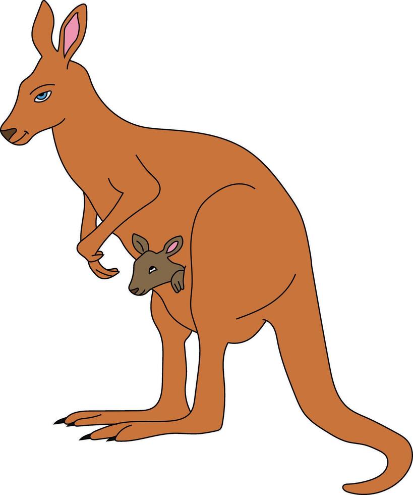 kleurrijk kangoeroe clip art. tekening dieren clip art. tekenfilm wild dieren clip art voor geliefden van dieren in het wild vector