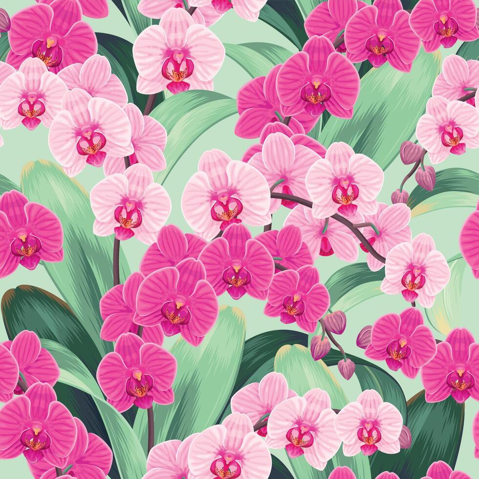 naadloos patroon met roze en Purper orchideeën en tropisch gebladerte vector
