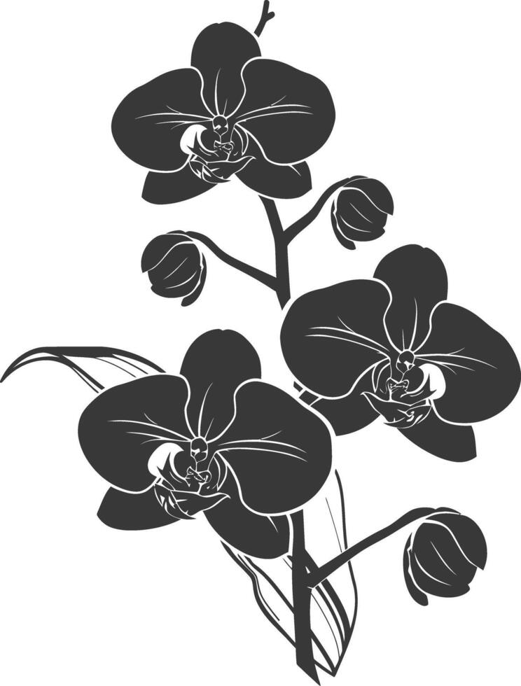 ai gegenereerd silhouet orchidee bloem zwart kleur enkel en alleen vector