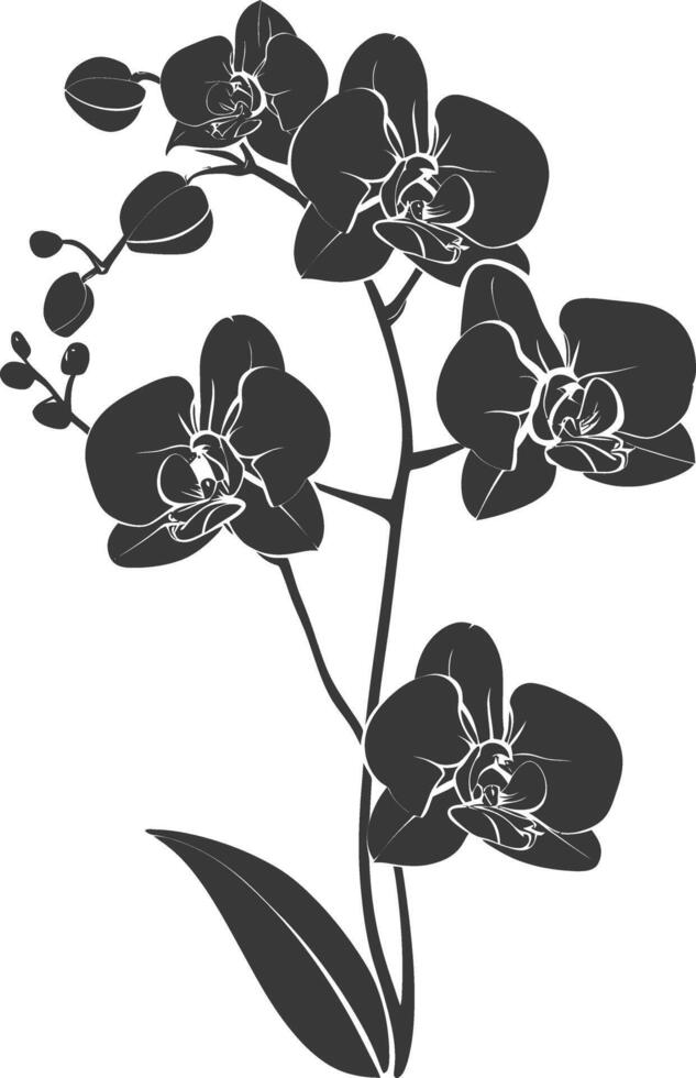 ai gegenereerd silhouet orchidee bloem zwart kleur enkel en alleen vector