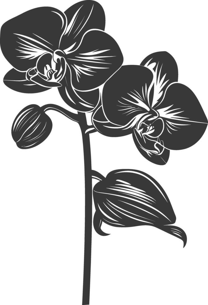 ai gegenereerd silhouet orchidee bloem zwart kleur enkel en alleen vector