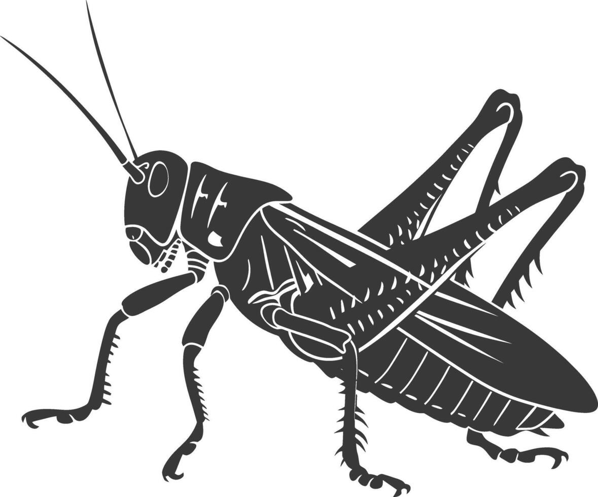ai gegenereerd silhouet sprinkhaan insect dier zwart kleur enkel en alleen vector