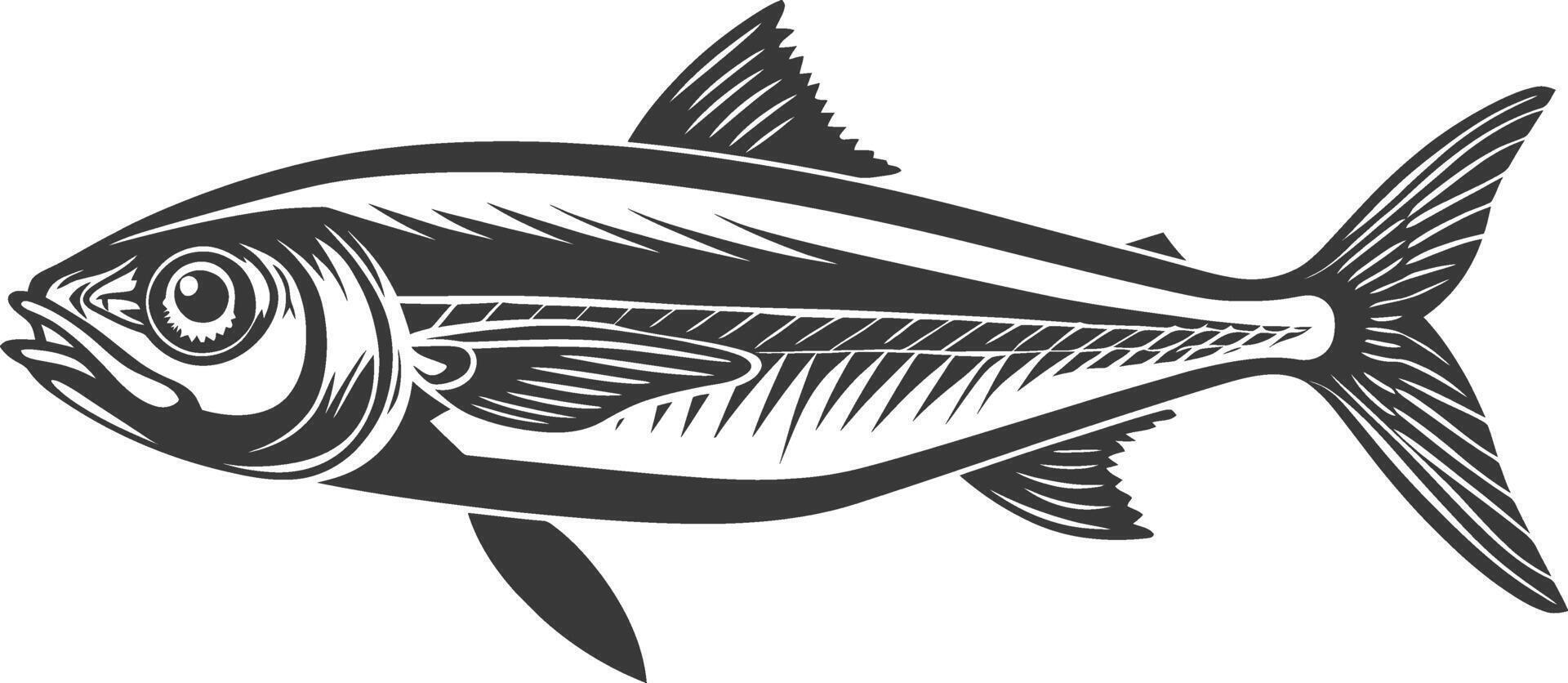 silhouet sardine vis dier zwart kleur enkel en alleen vol lichaam vector