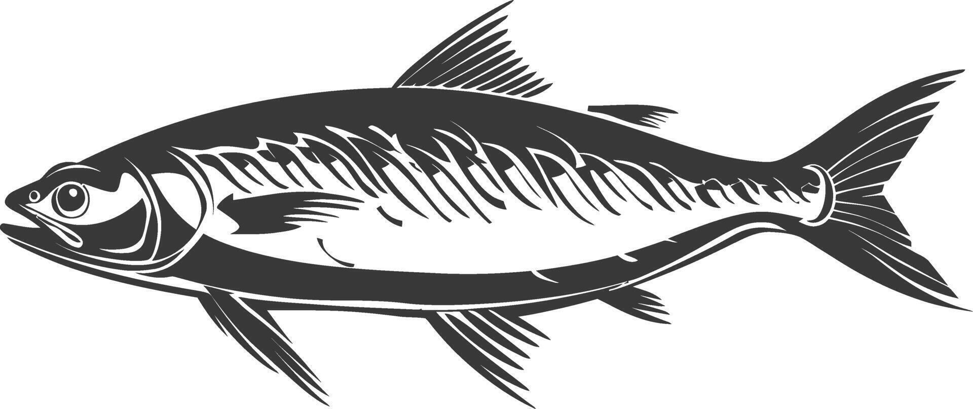 silhouet sardine vis dier zwart kleur enkel en alleen vol lichaam vector