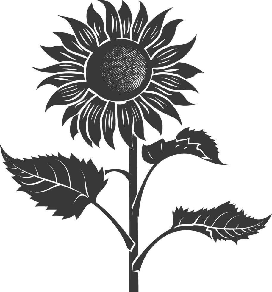 silhouet zonnebloem bloem zwart kleur enkel en alleen vector