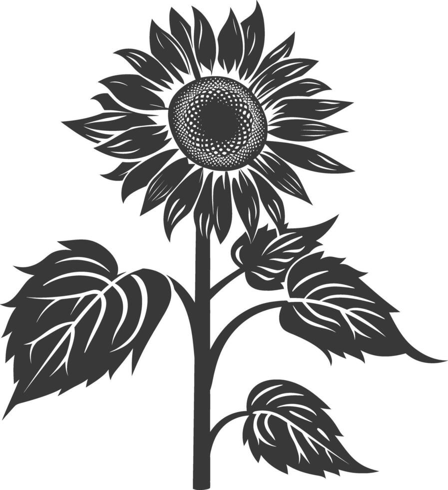 silhouet zonnebloem bloem zwart kleur enkel en alleen vector