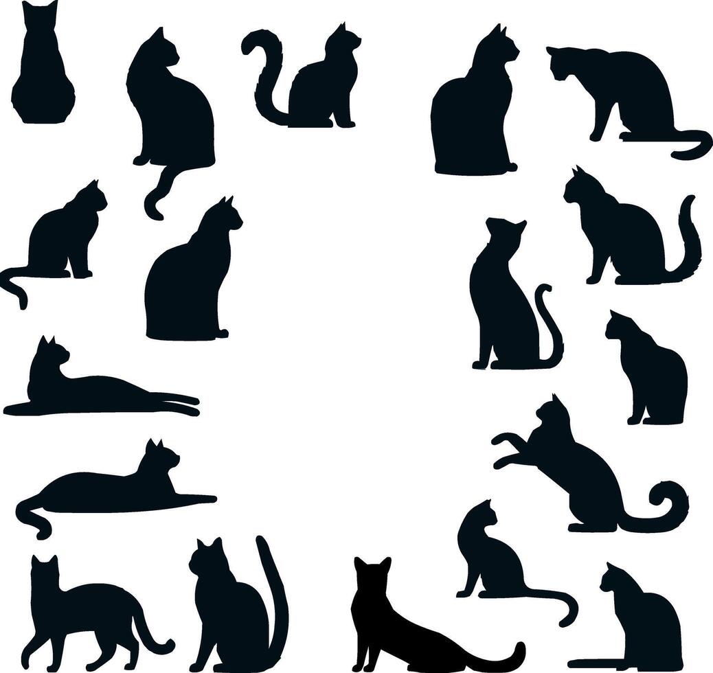 kat silhouet illustratie vector