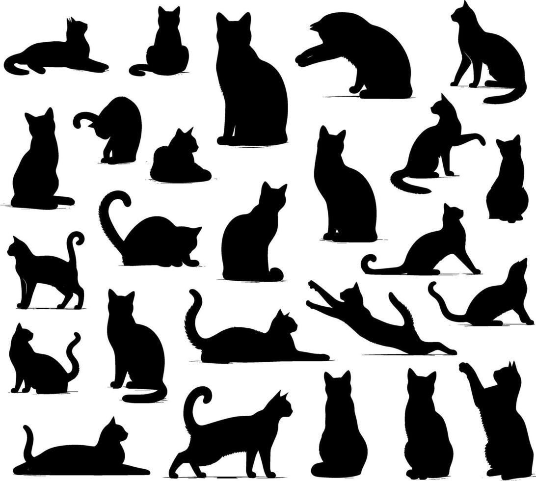 kat silhouet illustratie vector