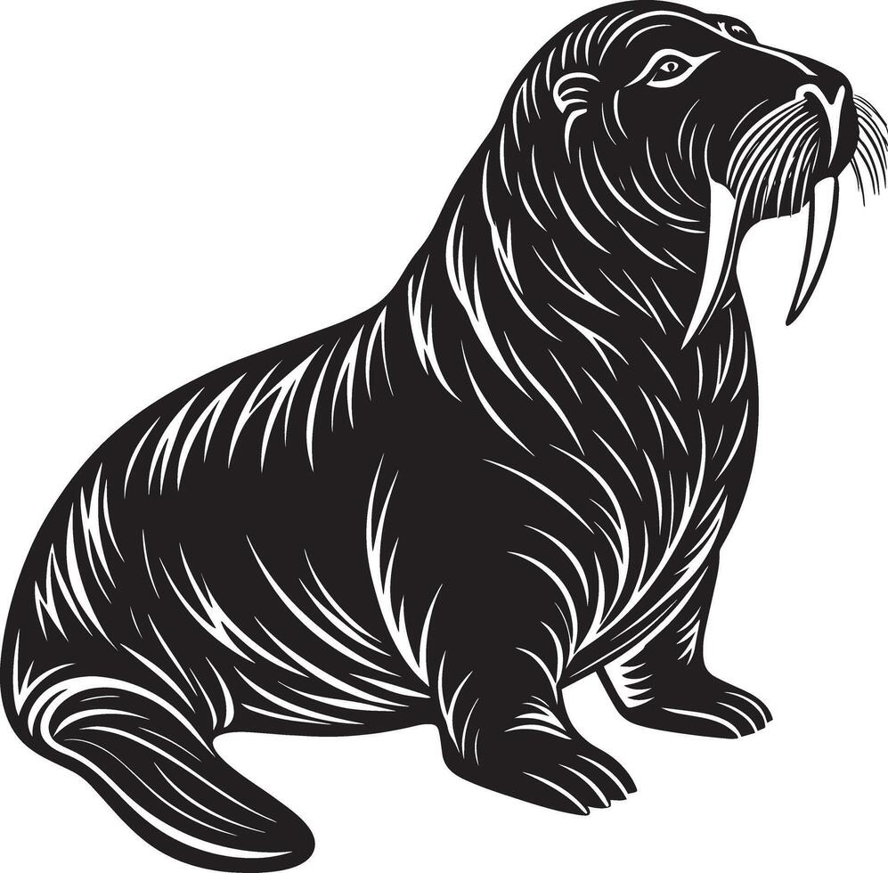 walrus. illustratie . geïsoleerd Aan wit achtergrond. vector