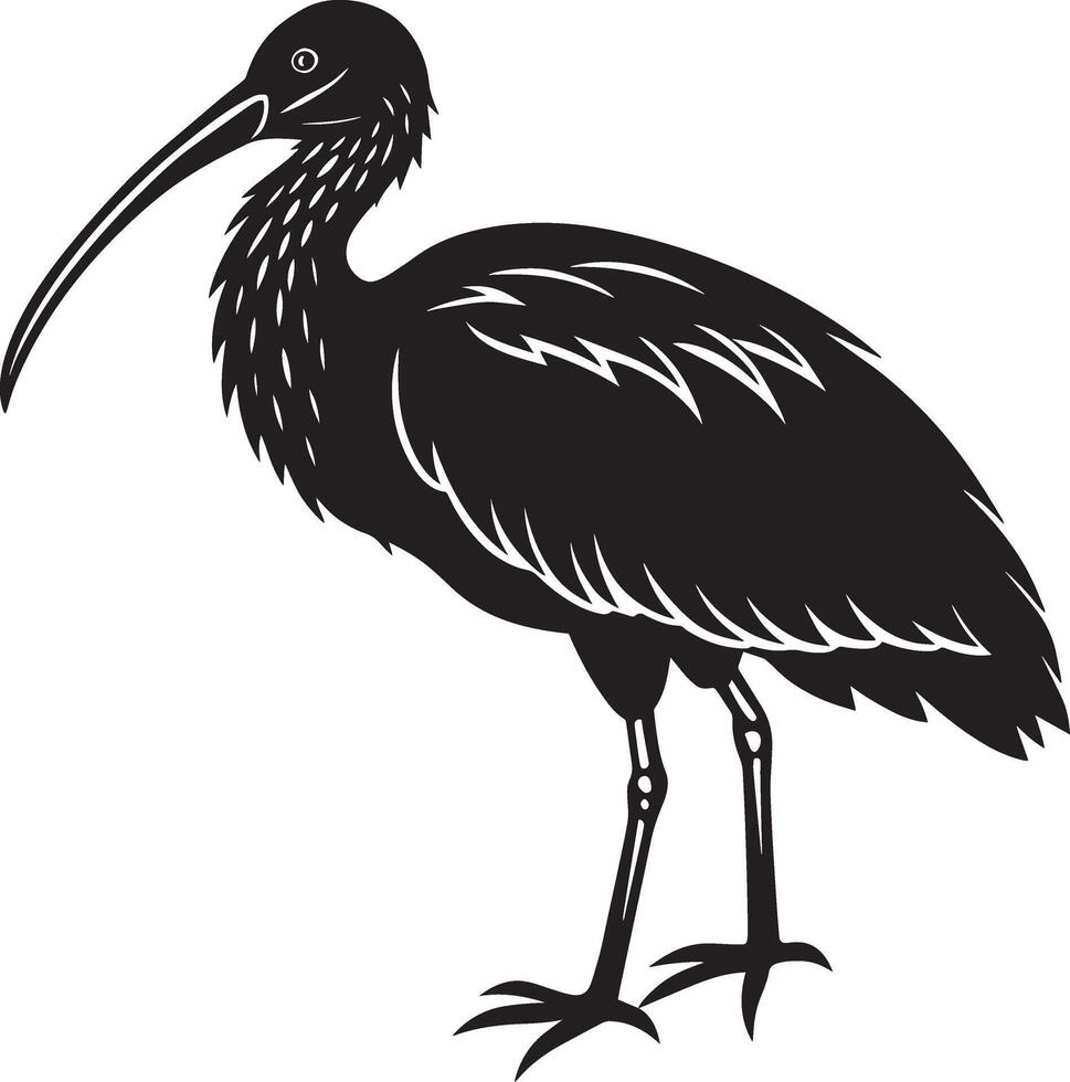 een silhouet van een ibis Aan een wit achtergrond. illustratie vector