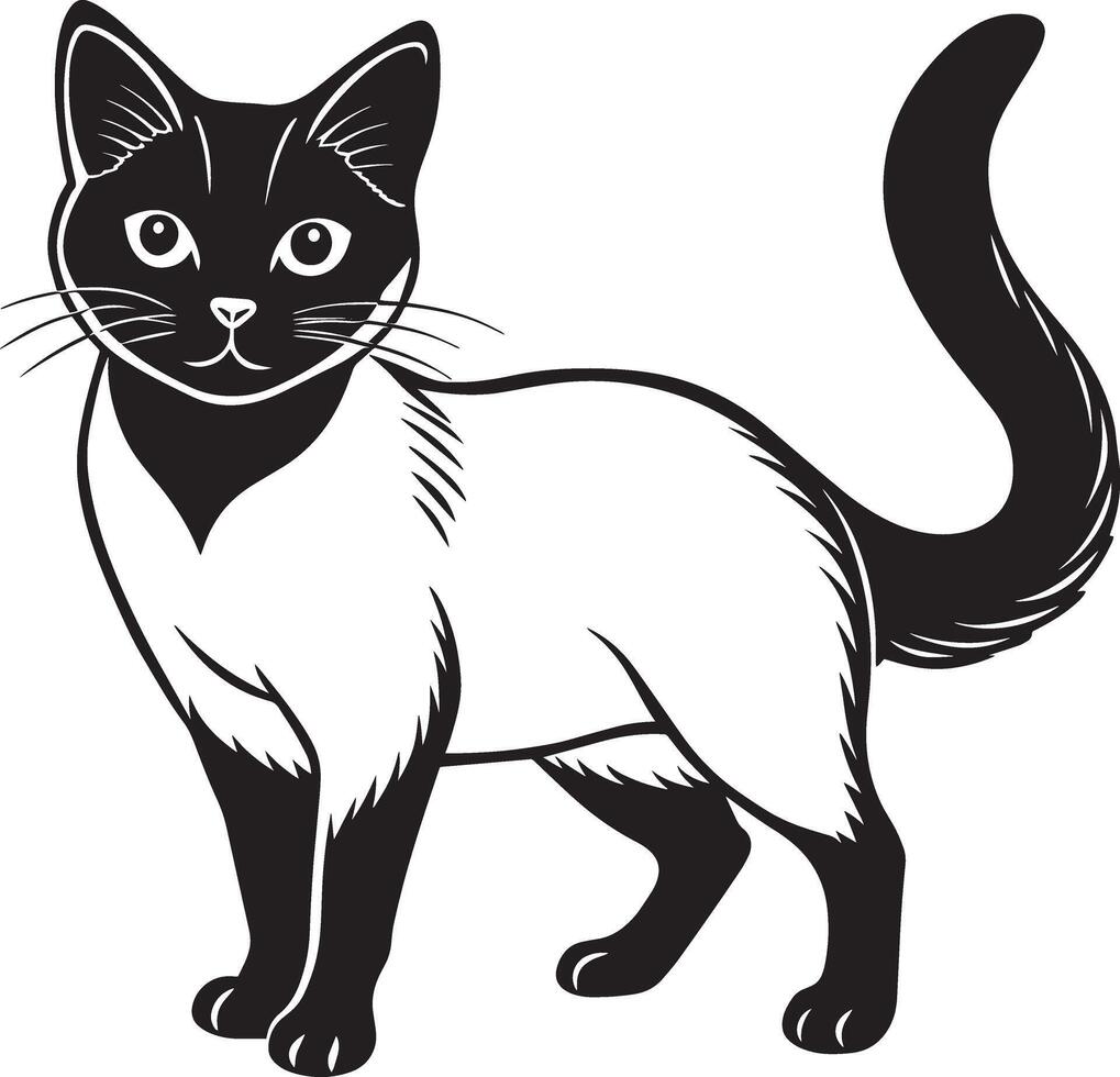 beeld van een kat Aan een wit achtergrond. zwart en wit illustratie. vector