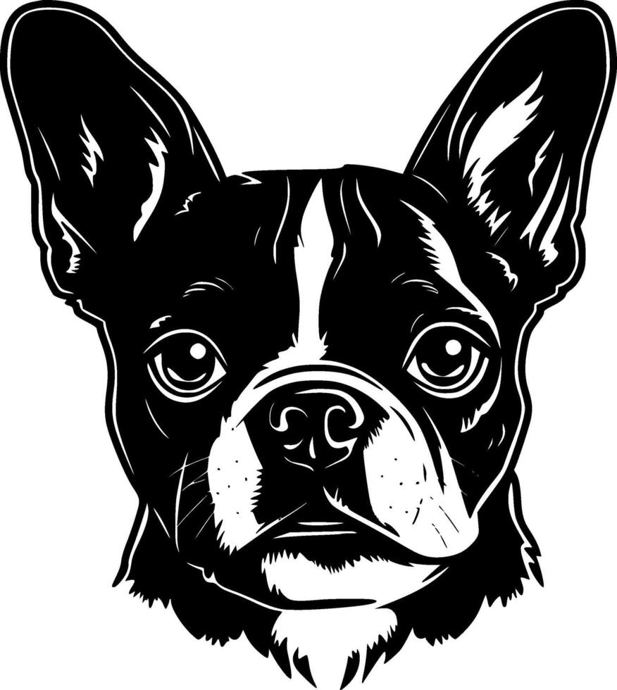 Boston terriër - hoog kwaliteit logo - illustratie ideaal voor t-shirt grafisch vector