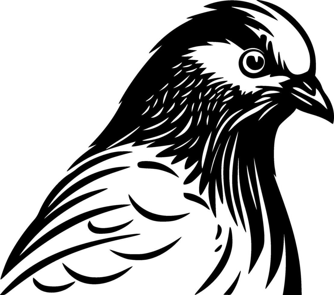 duif - zwart en wit geïsoleerd icoon - illustratie vector