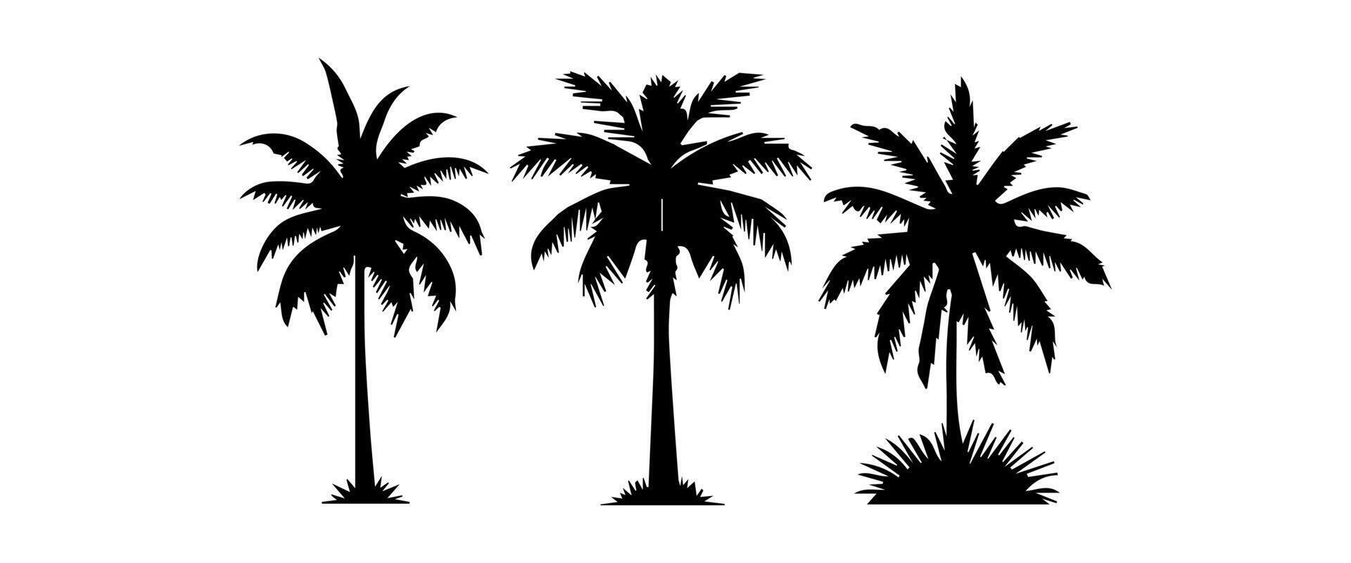 zwart palm bomen reeks geïsoleerd Aan wit achtergrond. palm silhouetten. ontwerp van palm bomen voor affiches, banners en promotionele artikelen. illustratie vector