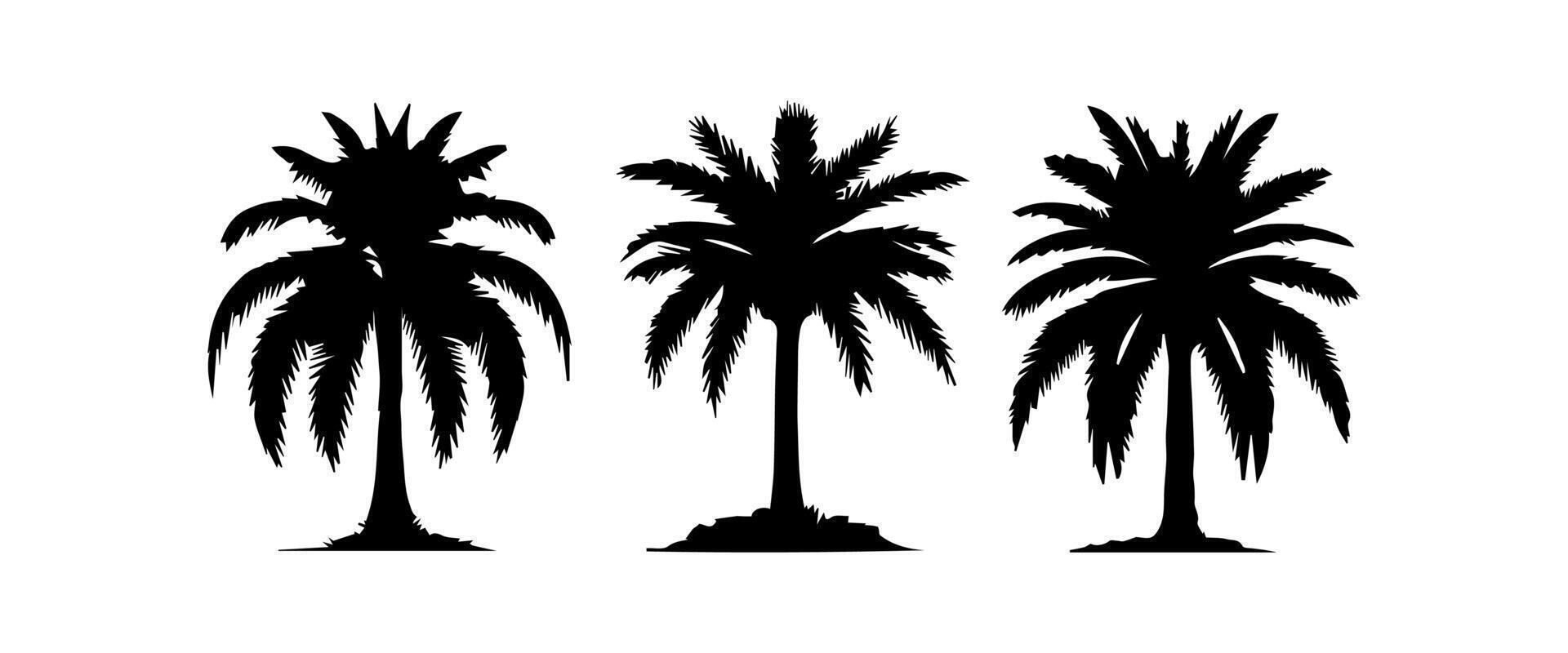 zwart palm bomen reeks geïsoleerd Aan wit achtergrond. palm silhouetten. ontwerp van palm bomen voor affiches, banners en promotionele artikelen. illustratie vector