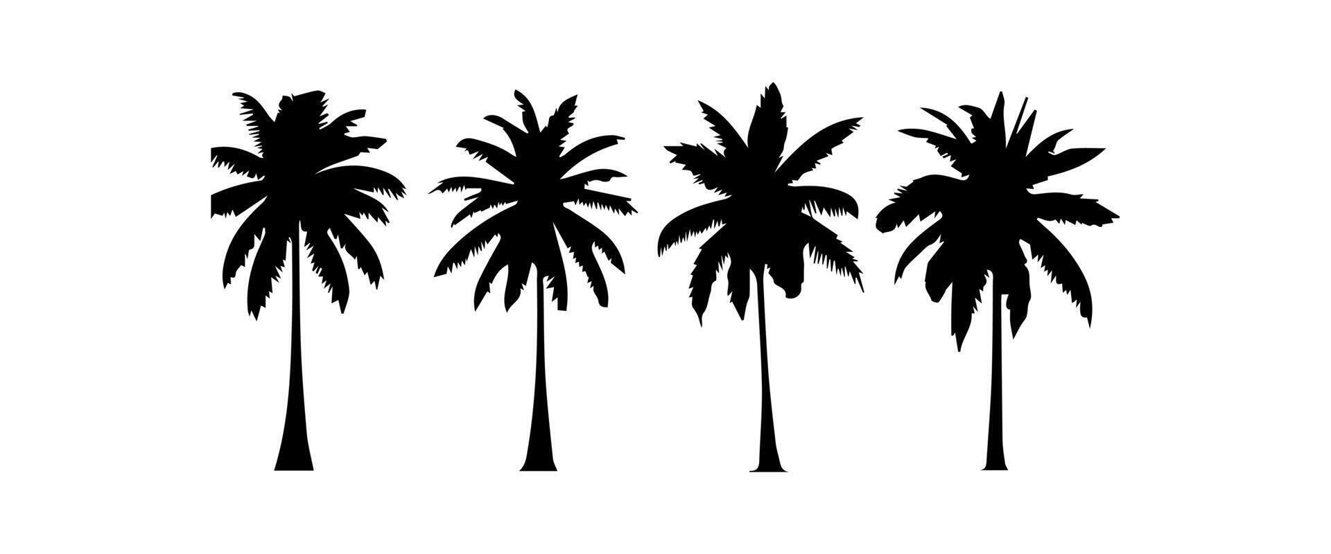 zwart palm bomen reeks geïsoleerd Aan wit achtergrond. palm silhouetten. ontwerp van palm bomen voor affiches, banners en promotionele artikelen. illustratie vector