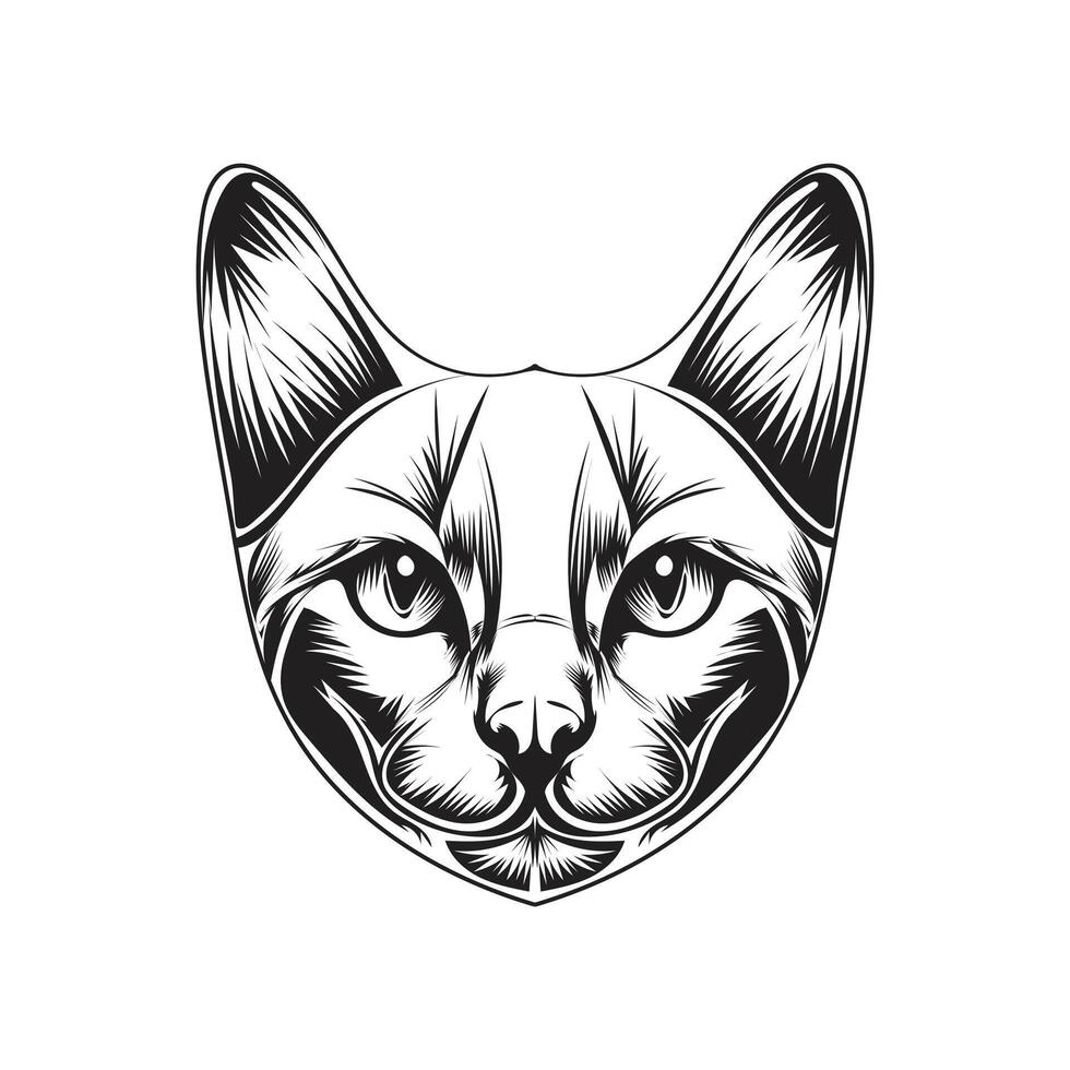 zwart en wit kat ontwerp illustratie vector