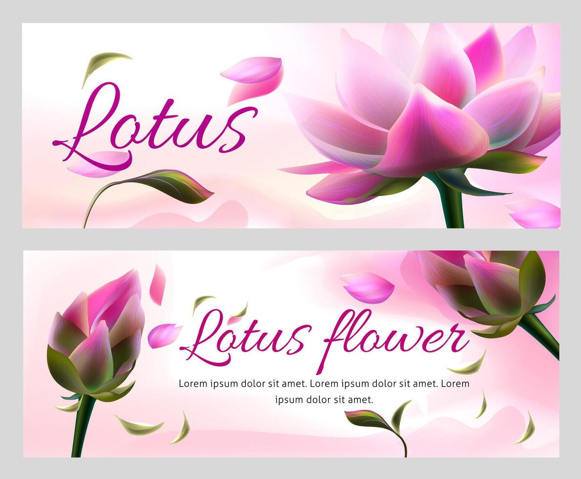 horizontaal banners met roze lotus bloemen en vliegend bloemblaadjes Aan wit achtergrond. verpakking ontwerp voor ayurveda producten of natuurlijk aroma spa kunstmatig. groet kaart of uitnodiging kaart sjabloon vector