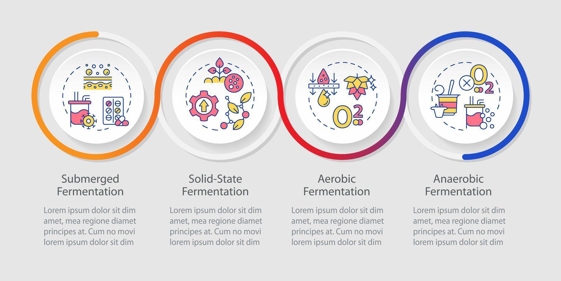 biofermentatie werkwijze types lus infographic sjabloon. gegevens visualisatie met 4 stappen. bewerkbare tijdlijn info grafiek. workflow lay-out met lijn pictogrammen vector