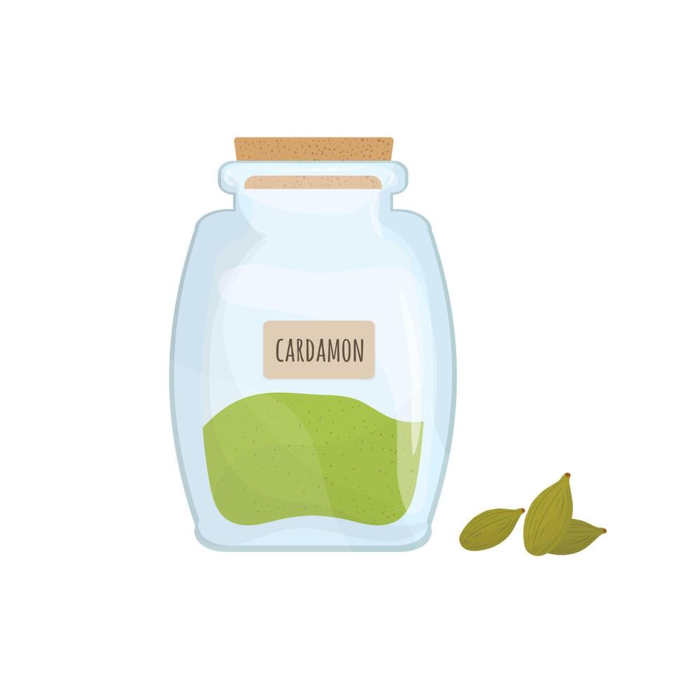 kardemom zaden opgeslagen in glas pot geïsoleerd Aan wit achtergrond. aromatisch kruid, voedsel kruid of kruiderij, Koken ingrediënt in Gesloten transparant container. kleurrijk illustratie. vector