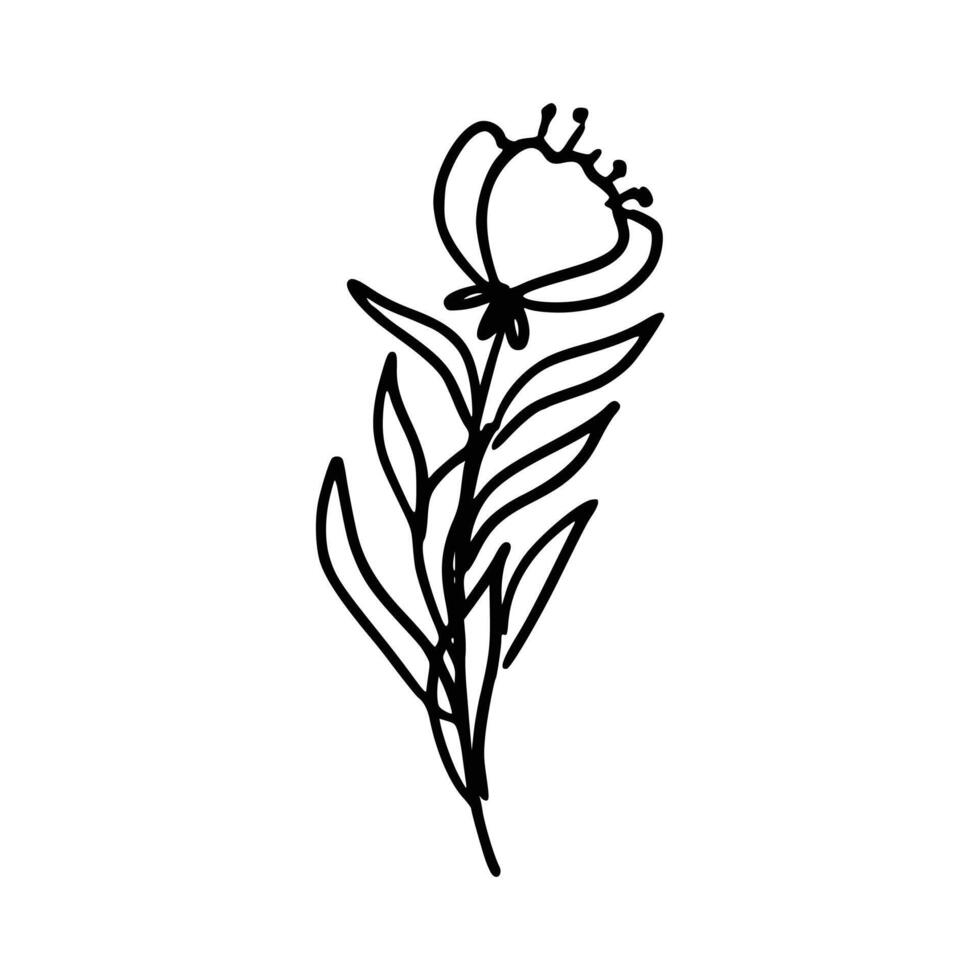 hand getekend bloem en bladeren vector