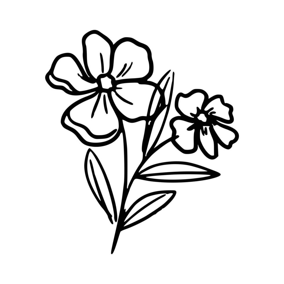 hand getekend botanisch bloemen vector