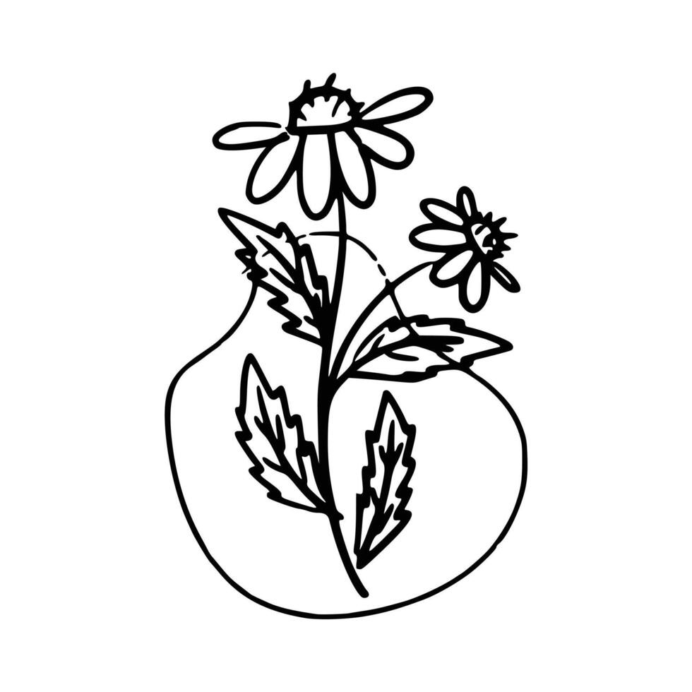 hand getekend botanisch bloemen vector