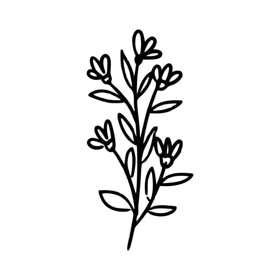 hand getekend bloem en bladeren vector