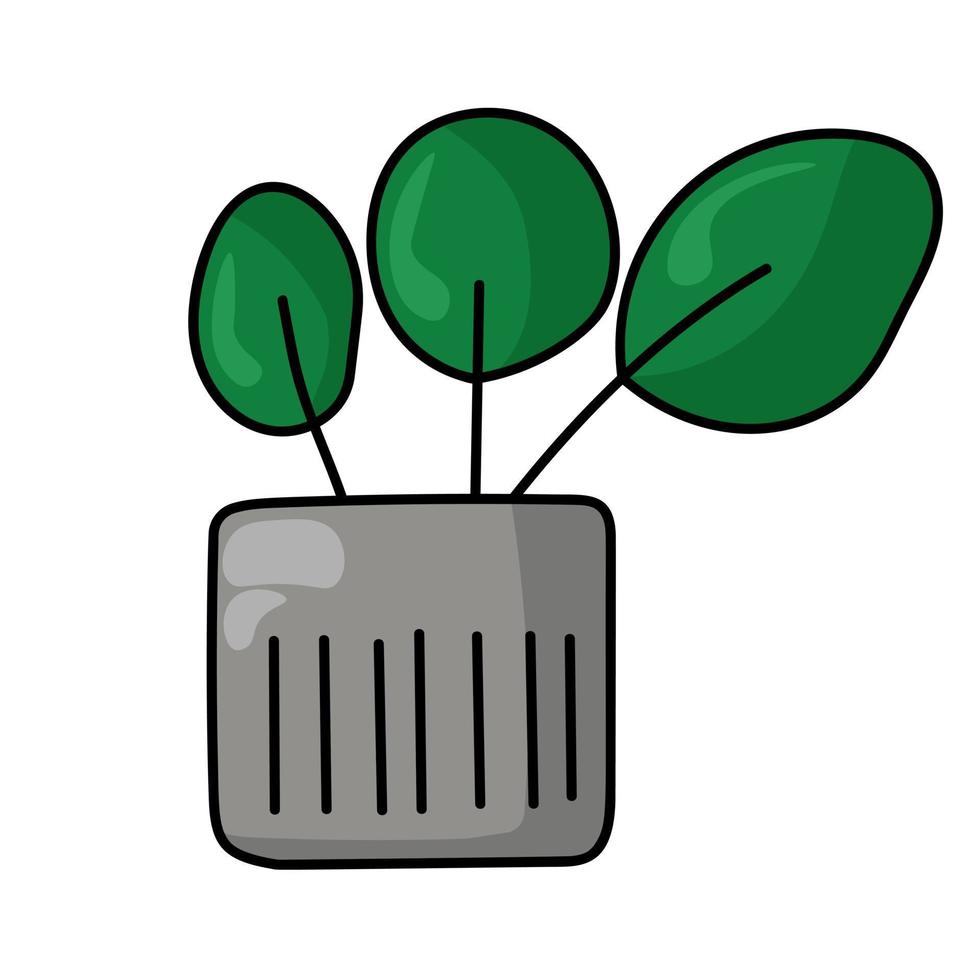 potplant in grijze vierkante pot met brede groene bladeren, exotische huisbloem in doodle-stijl vector