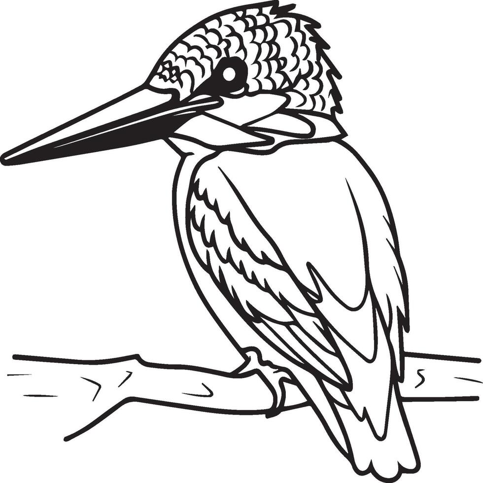 ijsvogel kleur bladzijde. een zwart en wit tekening van ijsvogel vector