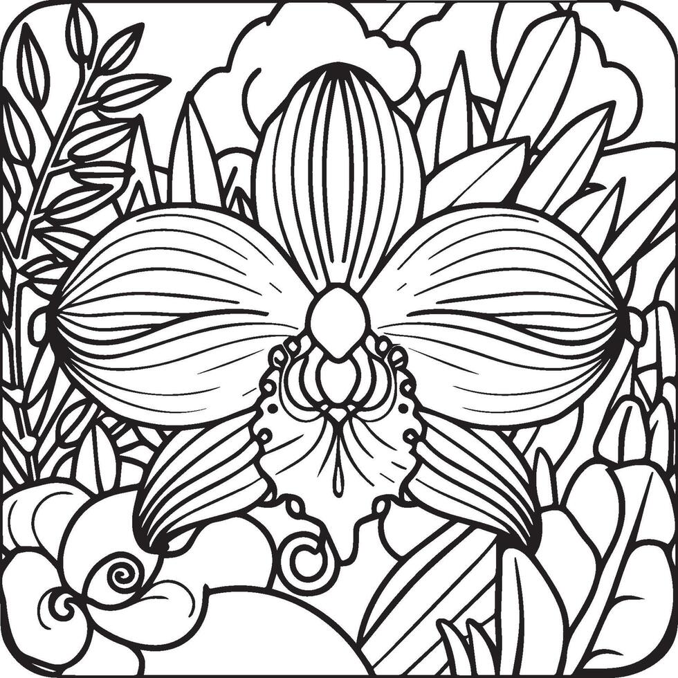 orchidee bloem kleur Pagina's. orchidee bloem schets voor kleur boek vector