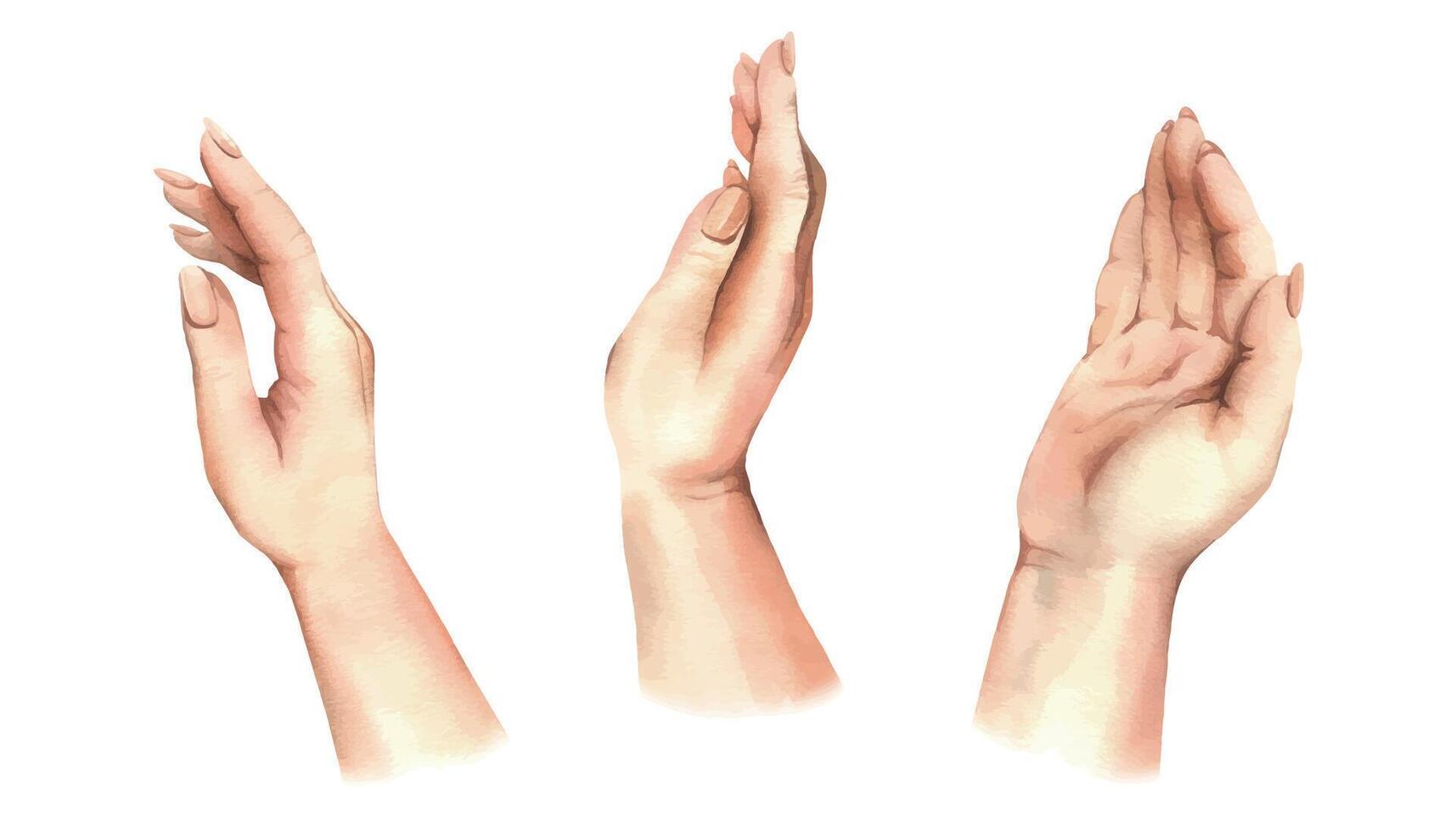 handen van een wit vrouw met een netjes naakt manicuren, kant en top visie, bevallig en teder gebaren. hand- getrokken waterverf illustratie. reeks van elementen geïsoleerd van achtergrond. vector