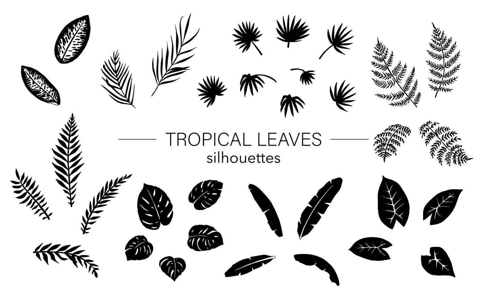 vector set van tropische plant laat silhouetten. jungle gebladerte stencils. handgetekende palmboom, banaan, monstera, dieffenbachia, varens, alocasia. home tropische blad illustraties