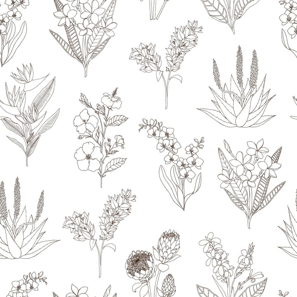 vector naadloze patroon van tropische bloemen geïsoleerd op een witte achtergrond. hand getekende bloemen achtergrond. schetsstijl tropische ontwerpelementen