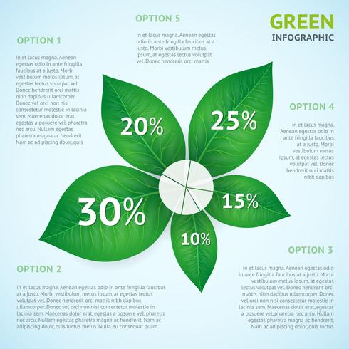 Eco groen infographics concept vector
