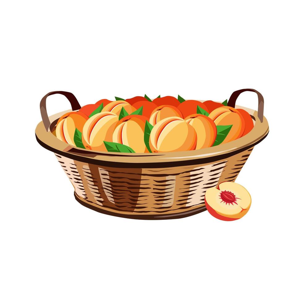 rieten mand vol van gezond en sappig oranje perziken geïsoleerd Aan wit achtergrond. fruit illustratie in vlak stijl. zomer clip art voor ontwerp van kaart, banier, folder, poster vector