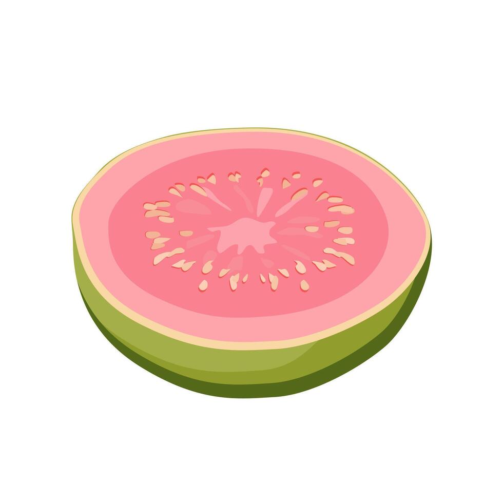 sappig en gezond groen roze besnoeiing guava met groen bladeren. geïsoleerd illustratie Aan wit achtergrond. zomer fruit voor vlak ontwerp van kaart, banier, folder, uitverkoop, poster, pictogrammen vector