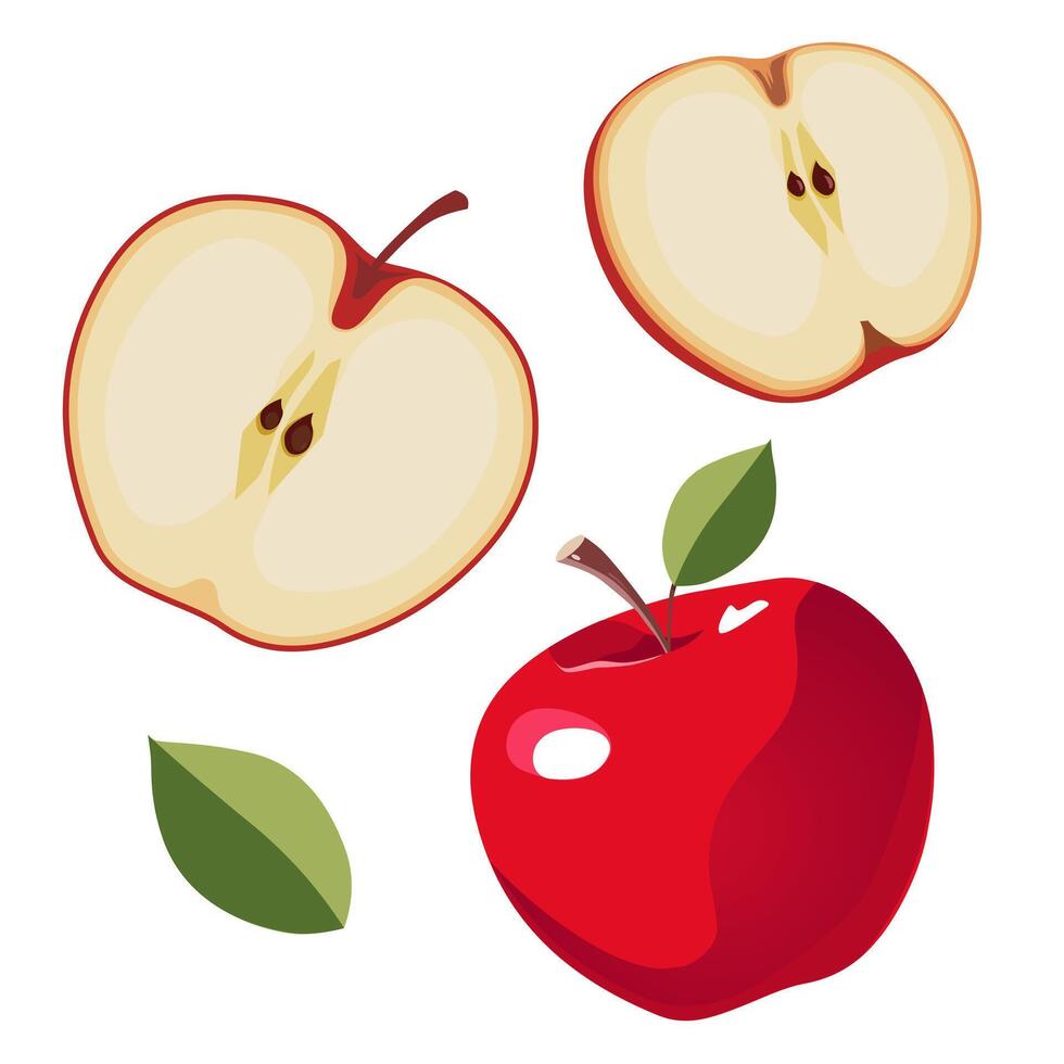 reeks van sappig en gezond rood appel en plakjes geïsoleerd Aan wit achtergrond. gesneden fruit illustratie in vlak stijl. zomer clip art voor ontwerp van kaart, banier, folder, uitverkoop, poster, pictogrammen vector