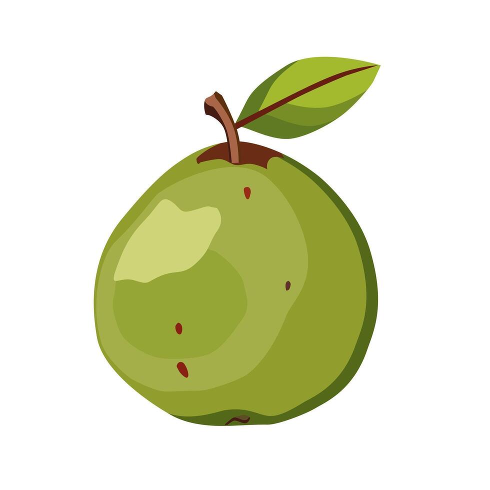 sappig en gezond groen guava met groen blad. geïsoleerd illustratie Aan wit achtergrond. zomer fruit voor vlak ontwerp van kaart, banier, folder, uitverkoop, poster, pictogrammen vector