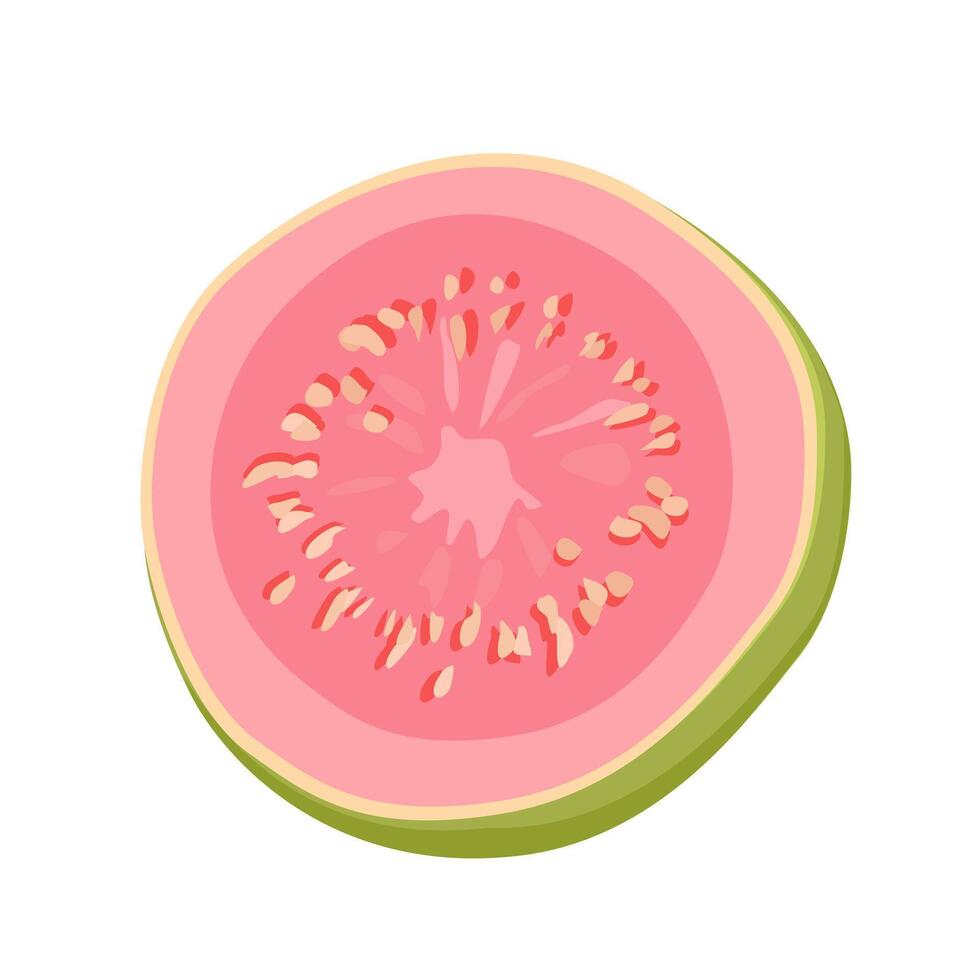 sappig en gezond roze dun plak van guava geïsoleerd Aan wit achtergrond. gesneden tropisch fruit illustratie in vlak stijl. zomer clip art voor ontwerp van kaart, banier, folder, uitverkoop, poster, pictogrammen vector