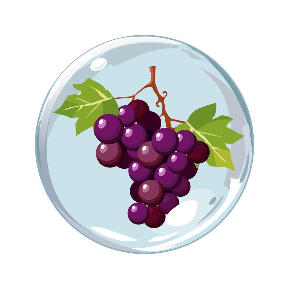 gezond zwart druif in lucht bubbel. geïsoleerd illustratie Aan wit achtergrond. zomer fruit voor vlak ontwerp van kaarten, banier, presentaties, logo, poster vector